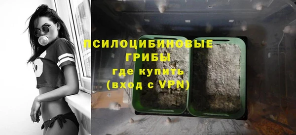 твердый Алексин