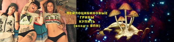 дурь Алзамай