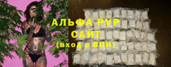 стафф Арсеньев