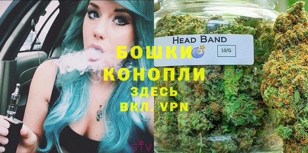 дурь Алзамай