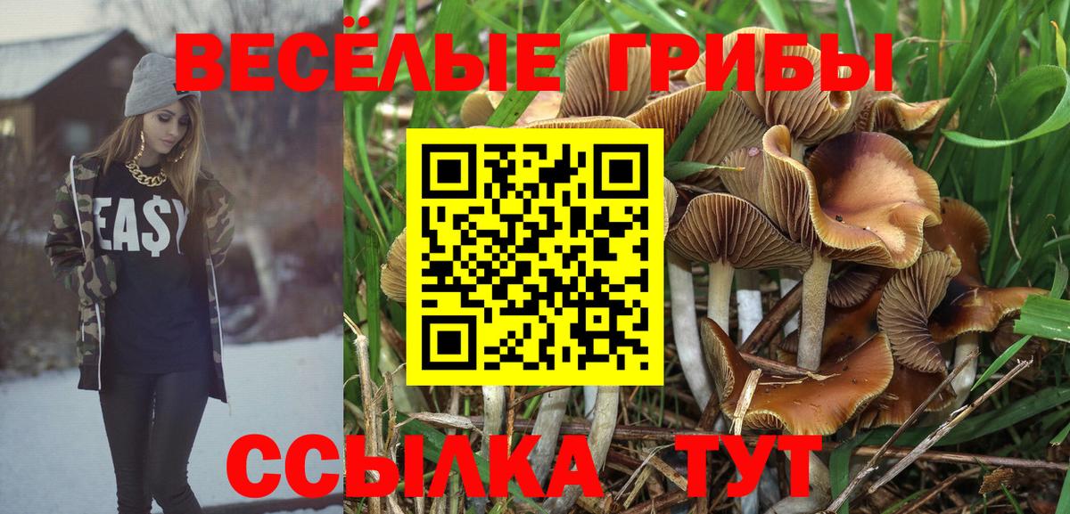 Галлюциногенные грибы Psilocybine cubensis Саки