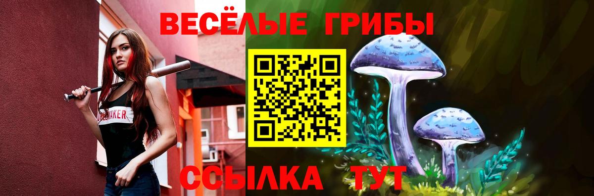 Саки  Галлюциногенные грибы Psilocybine cubensis  Вход с VPN 